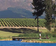 South Africa Golf Tours