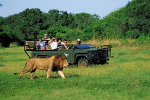 Golf in South Africa