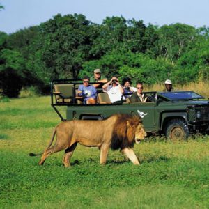 Golf Tours South Africa