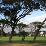 Royal Cape Golf Course