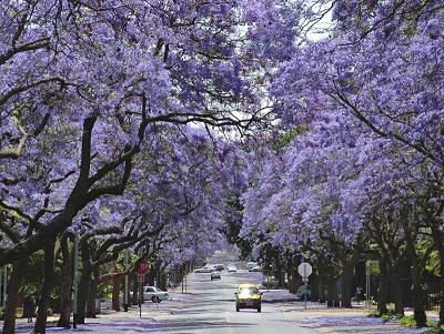 Gauteng and Sun City