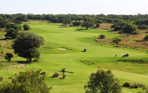 Golf Tours South Africa