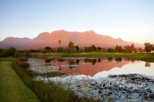 Golf Tours South Africa