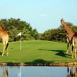 Kruger National Park