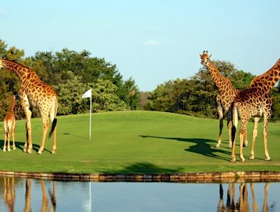 Kruger National Park