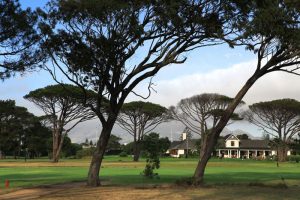 Golf Tours South Africa