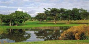 Golf Tours South Africa