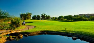 Golf Tours South Africa