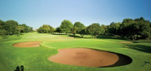 Golf Tours South Africa