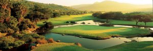 Golf Tours South Africa