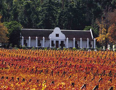 Cape Winelands