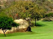 Golf Tours South Africa