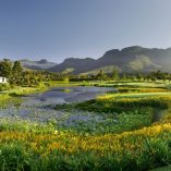 Fancourt Outeniqua Course