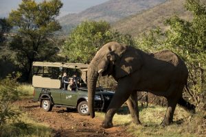 Golf Tours South Africa