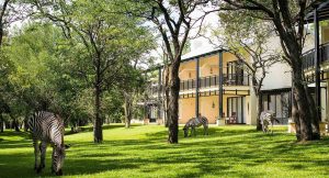 Golf Tours South Africa