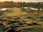 Golf Tours South Africa