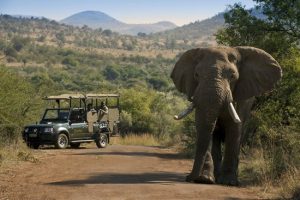 Golf Tours South Africa