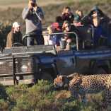 Game Drive