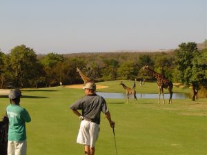 Golf Tours South Africa