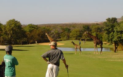 Recent client reviews of our golf trips & safaris